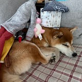 Telegram profile photo for юникук секонд