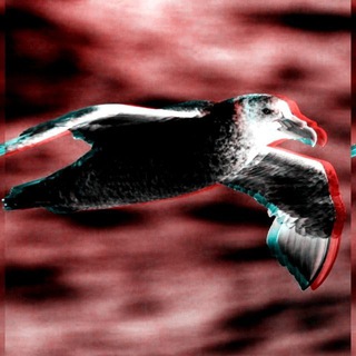 Telegram profile photo for Буревестник