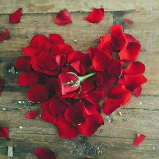Telegram profile photo for 🦋آگاهـی פּ انگیـزه🦋