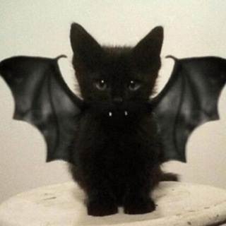 Telegram profile photo for мурля пиздит👻