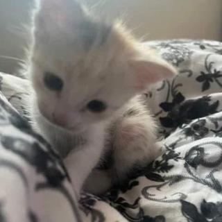Telegram profile photo for интоксикация