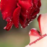 Telegram profile photo for کامنت های زیبای اینستاگرامی❤💘💓💔💕💖💗💞💝💜💛💚💙💟❣🖤💦💫