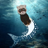 Telegram profile photo for 🌊𝗢𝗰𝗲𝗮𝗻 𝘄𝗼𝗿𝗹𝗱 𝗰𝗼𝗻𝗳