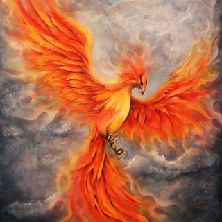 Telegram profile photo for ققنوس