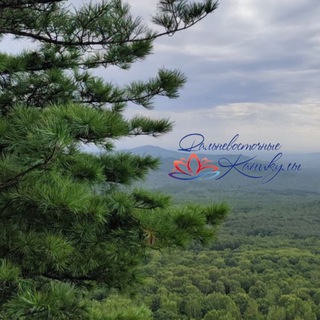 Telegram profile photo for ✈️"ДВ Каникулы"🌏Ваш туроператор