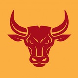 Telegram profile photo for VIP MegaBull calls
