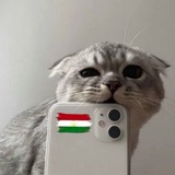 Telegram profile photo for ᴀsʜᴛsᴋɪᴇ