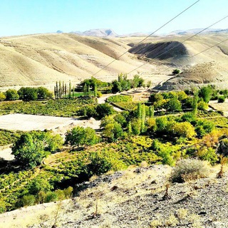 Telegram profile photo for کانال روستا کواکی