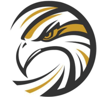 Telegram profile photo for Crypto Hawk Calls