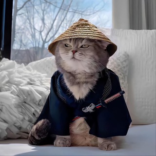 Telegram profile photo for Seven(苹果ID 全球IM代发)通知群