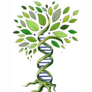 Telegram profile photo for Deep Genealogy: Западные земли Руси