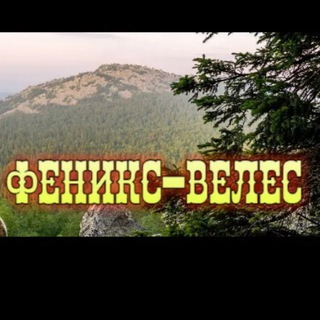 Telegram profile photo for ТЕКСТОВЫЙ ФОРМАТ ЧАТОВ. Канал "ОППОЗИЦИЯ ФЕНИКС-ВЕЛЕС". (С июня 2024г.)