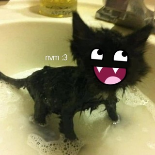 Telegram profile photo for 780ю 3481с1 м0с7ь H3 1313ч176