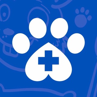 Telegram profile photo for VetZabota