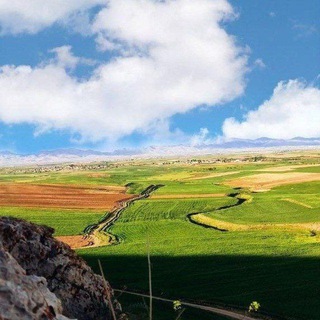 Telegram profile photo for 🏡کانال رسمی بیجقین آنلاین🏡