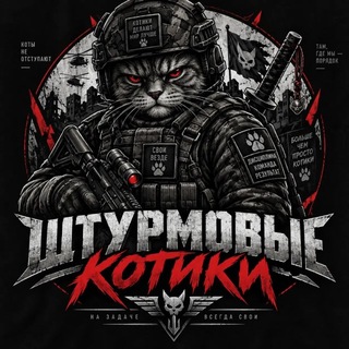Telegram profile photo for ШТУРМОVЫЕ КОТИКИ