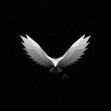Telegram profile photo for ๐ฆ
๐๐ฎ๐ด๐น๐ฒ ๐๐ผ๐๐ ๐ธ๐ถ๐ป๐ด ๐ฆ