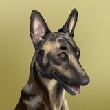 Telegram profile photo for Broccoli VN Channel