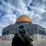 Telegram profile photo for فِدائيّ الزهراء (س)