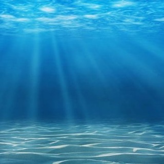 Telegram profile photo for Agua de Mar π¨π§π¦ y Agua Programada π
π±π½