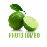 Telegram profile photo for photo_lombo