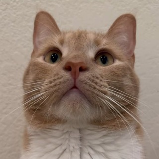 Telegram profile photo for Ether Trending Official