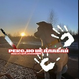 Telegram profile photo for Рекс, но не алабай! 🙈