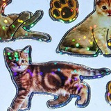 Telegram profile photo for сигны уротке