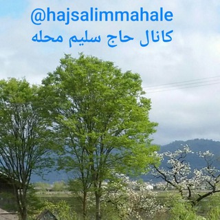 Telegram profile photo for 🍁کانال HAJ SALIM MAHALE 🍂حاج سلیم محله