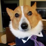 Telegram profile photo for Какие-то юридические мемы