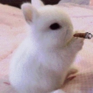 Telegram profile photo for playlist