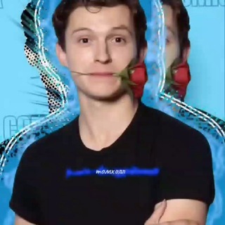 Telegram profile photo for Томхолл