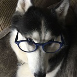 Telegram profile photo for ᵈᵇ поиск друзей | хаусов