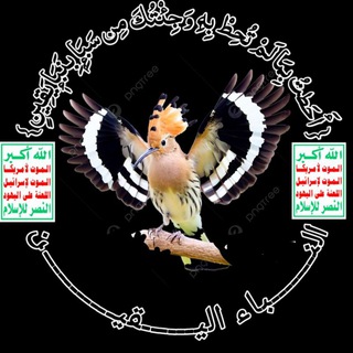 Telegram profile photo for النباء اليقين🕊🕊