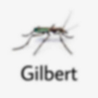 Telegram profile photo for Gilbert