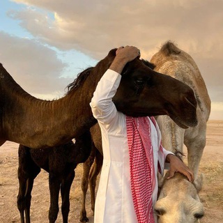 Telegram profile photo for ⌟ ♯̶ بـــوح 🎖️١ ⌜