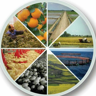 Telegram profile photo for 🌱اخبار کشاورزی🌱