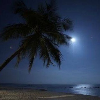 Telegram profile photo for سعادة