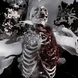 Telegram profile photo for 𝔇𝔢𝔞𝔡𝔩𝛾𝔖𝔮𝔲𝔞𝔡r