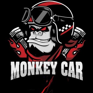 Telegram profile photo for Monkey Car | ГосНомер61