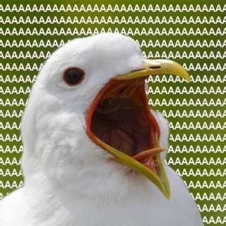 Telegram profile photo for шутки до эКоликов в животе