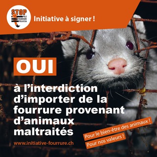 Telegram profile photo for Oui à l’interdiction d’importer du foie gras / produits en fourrure provenant / une limitation des feux d’artifice