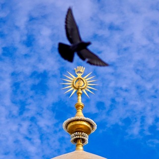 Telegram profile photo for imamali