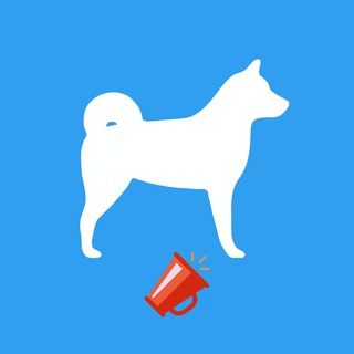 Telegram profile photo for Dogger Official Announcements Channel
