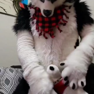 Telegram profile photo for o furry pintudo