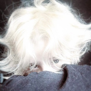 Telegram profile photo for —᧘юκ κᥲρдᥙᴦᥲн..