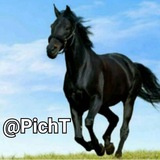 Telegram profile photo for @PichMDF پیچ ام دی اف ☫☤🔩💖😎👋📡📚🌐 #پیچ_و_مهره_و_بولت_و_کتاب_کنگره_اسرار اخبار پزشکی متخصص اطلاع