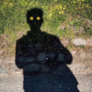 Telegram profile photo for Backup