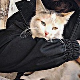 Telegram profile photo for حَسن ¦ علمٌ وعَمل