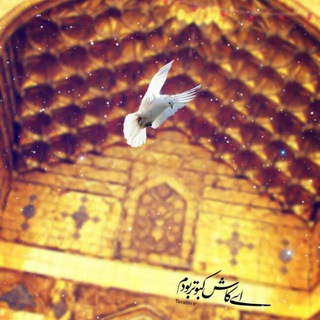 Telegram profile photo for شطرنجنامه